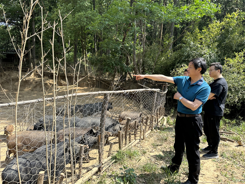 “追寻红色足迹，拥抱生态夏意”-夏日团建活动9