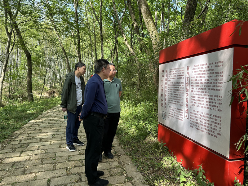 “追寻红色足迹，拥抱生态夏意”-夏日团建活动3