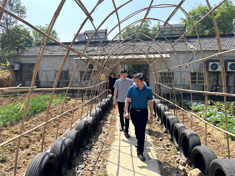 “追寻红色足迹，拥抱生态夏意”-夏日团建活动10