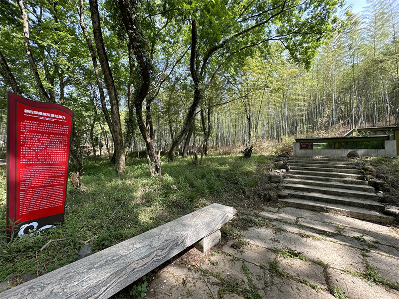 “追寻红色足迹，拥抱生态夏意”-夏日团建活动2